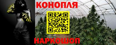 гашик Канаш
