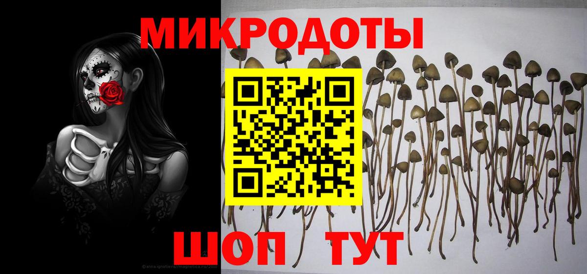 Галлюциногенные грибы прущие грибы Лабинск